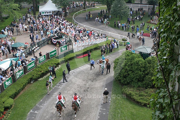 belmontpark_paddock11_st