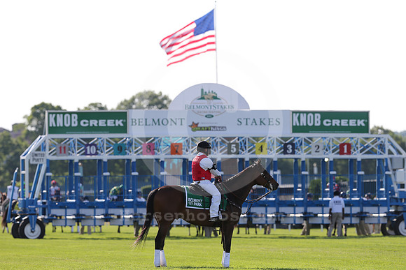 belmontpark_startinggate25_cg
