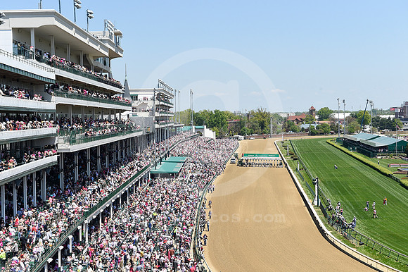 2015_crowd02