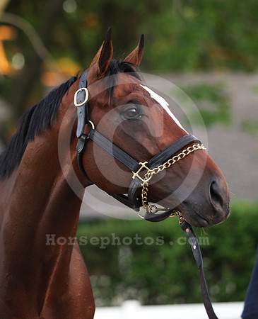 tonalist15_dk