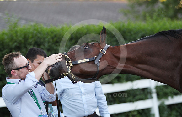 tonalist13_dk
