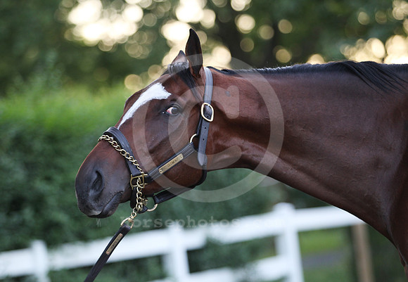 tonalist12_dk