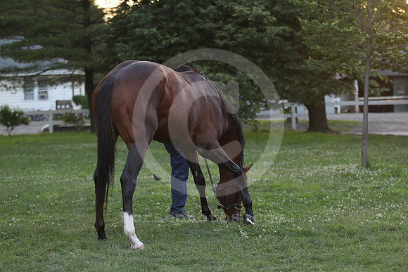 tonalist17_dk