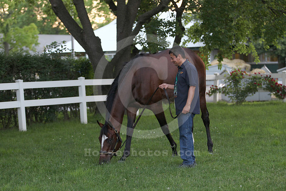 tonalist10_dk