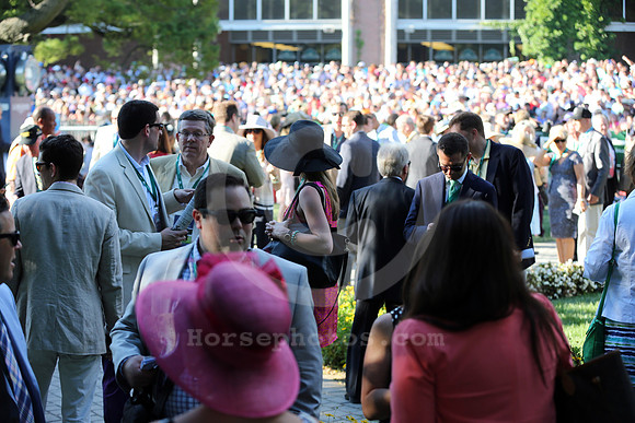 Belmont_Paddock12_cg