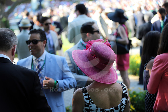 Belmont_Paddock13_cg