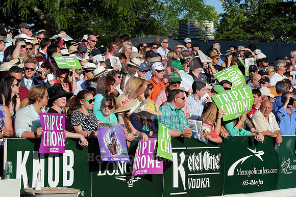 Belmont_Paddock16_cg