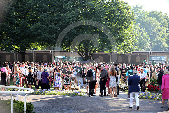 Belmont_Paddock18_cg