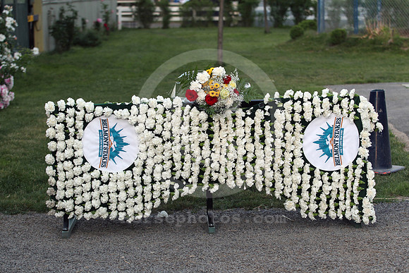 belmont_carnations01