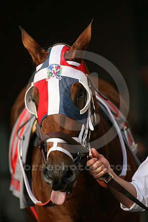 srquisqueyano03_gg