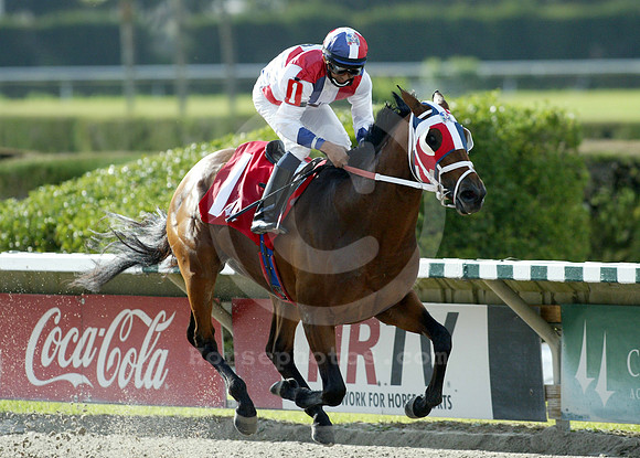 srquisqueyano05_gg
