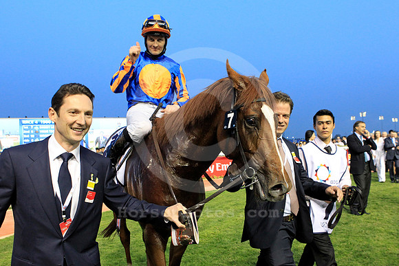 daddylonglegs08_fs