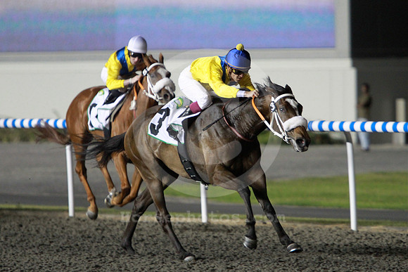 mahbooba01_nh