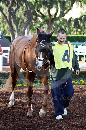 squareeddie40_cg