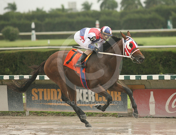 srquisqueyano01_gg