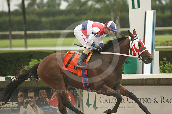 srquisqueyano02_gg