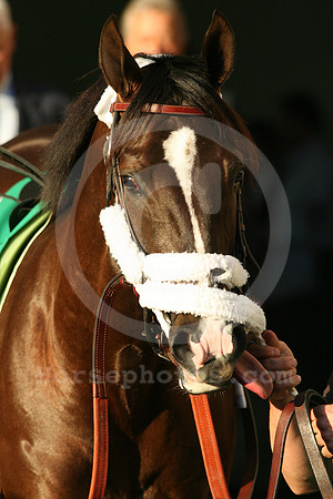 jacksonbend13_gg