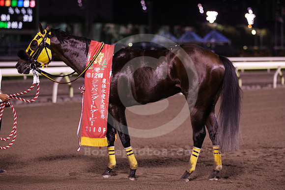 magnifica05_tm