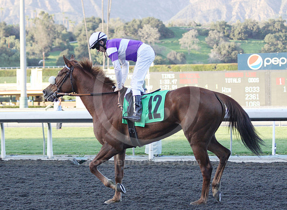 springstyle03_ps