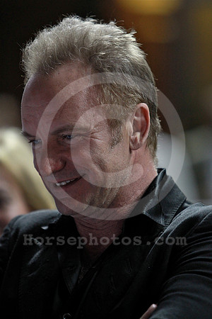 sting01_nh