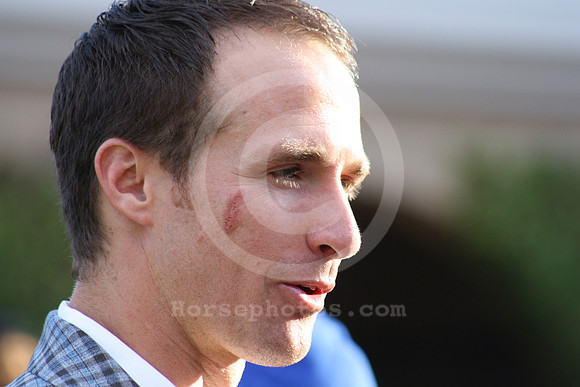 drewbrees01_cg