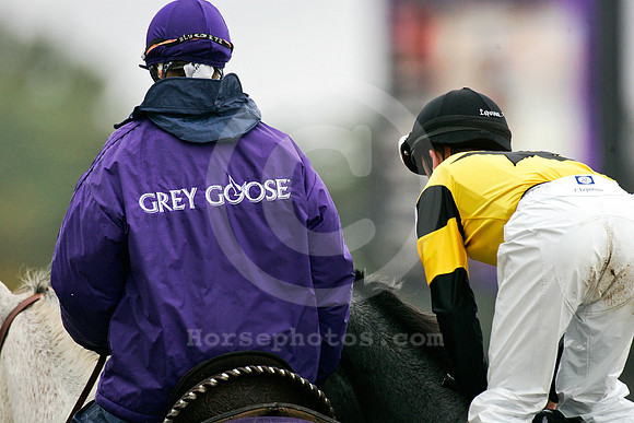 bc07greygoose01_ae
