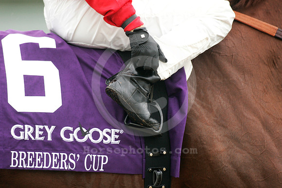 bc07greygoose02_ae