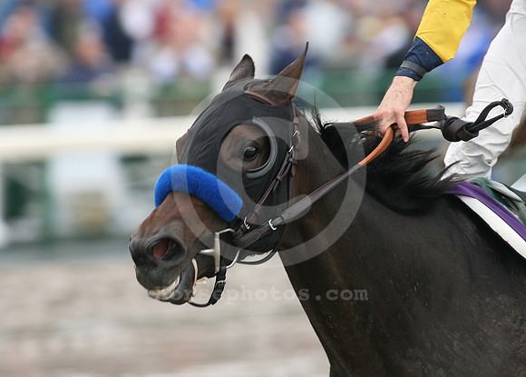 bc07jf123_cp