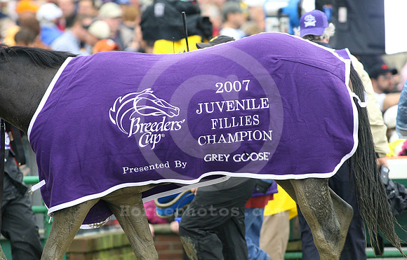 BC07JF143_cp
