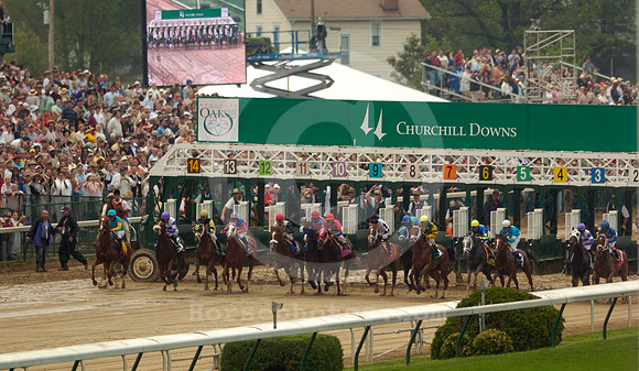 2007kentuckyoaks01_ljp