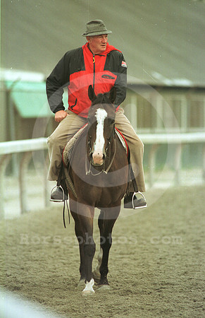 allenjerkens04
