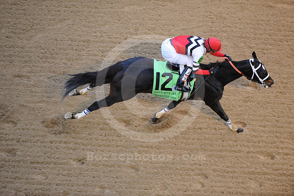 bc10fms02_ljp