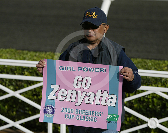 bc09_zenyatta_fan02