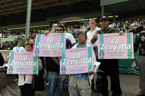bc09_zenyatta_fan04_hr
