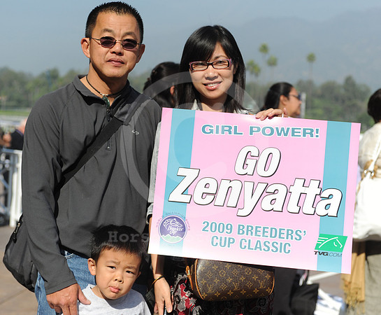 bc09_zenyatta_fan05_hr