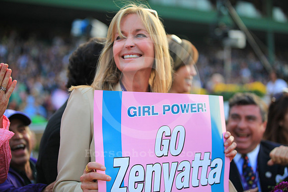bc09_zenyatta_fan15_tt