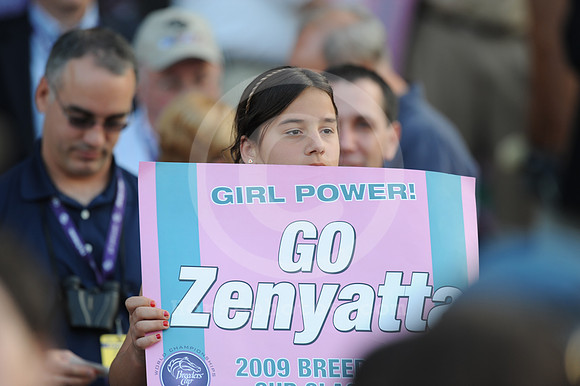 bc09cl_zenyatta_fan08_hr