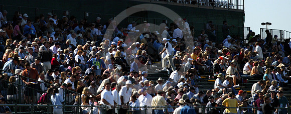 bc04crowd01