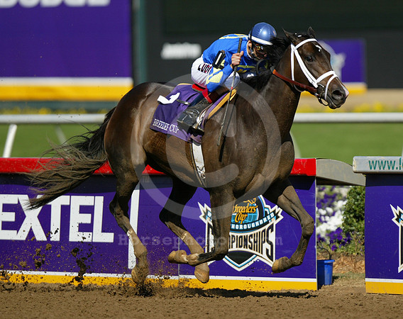 bc04df06_lp