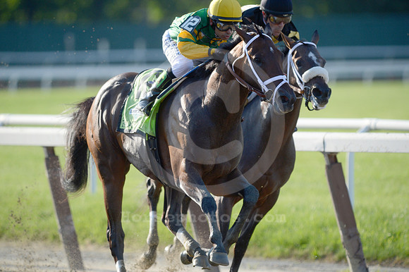 tc13bs08_ljp