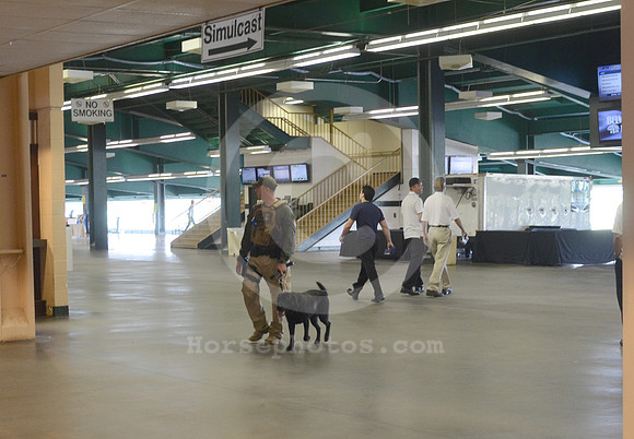 belmont_K9team02_hr