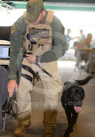 belmont_K9team01_hr