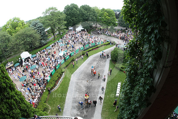 belmontpark_paddock10_st