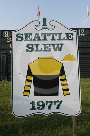 belmontparkracetrack21_cp