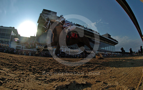 tc08ps78_jd