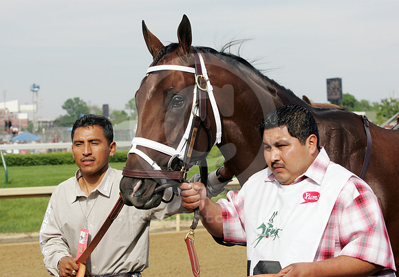 tc06kd115_dk