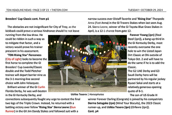 TDN 2024-11-04 at 9.46.12 AM (2)