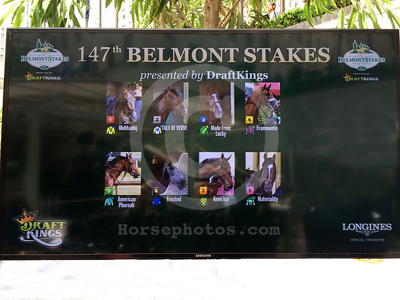 2015belmont_draw02_hr