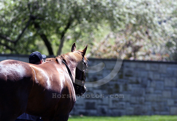 keenelandpaddock19_ev