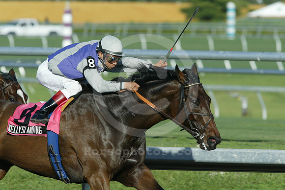 kellyslanding13_eg